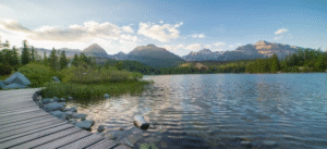 "Affordable Life Insurance"